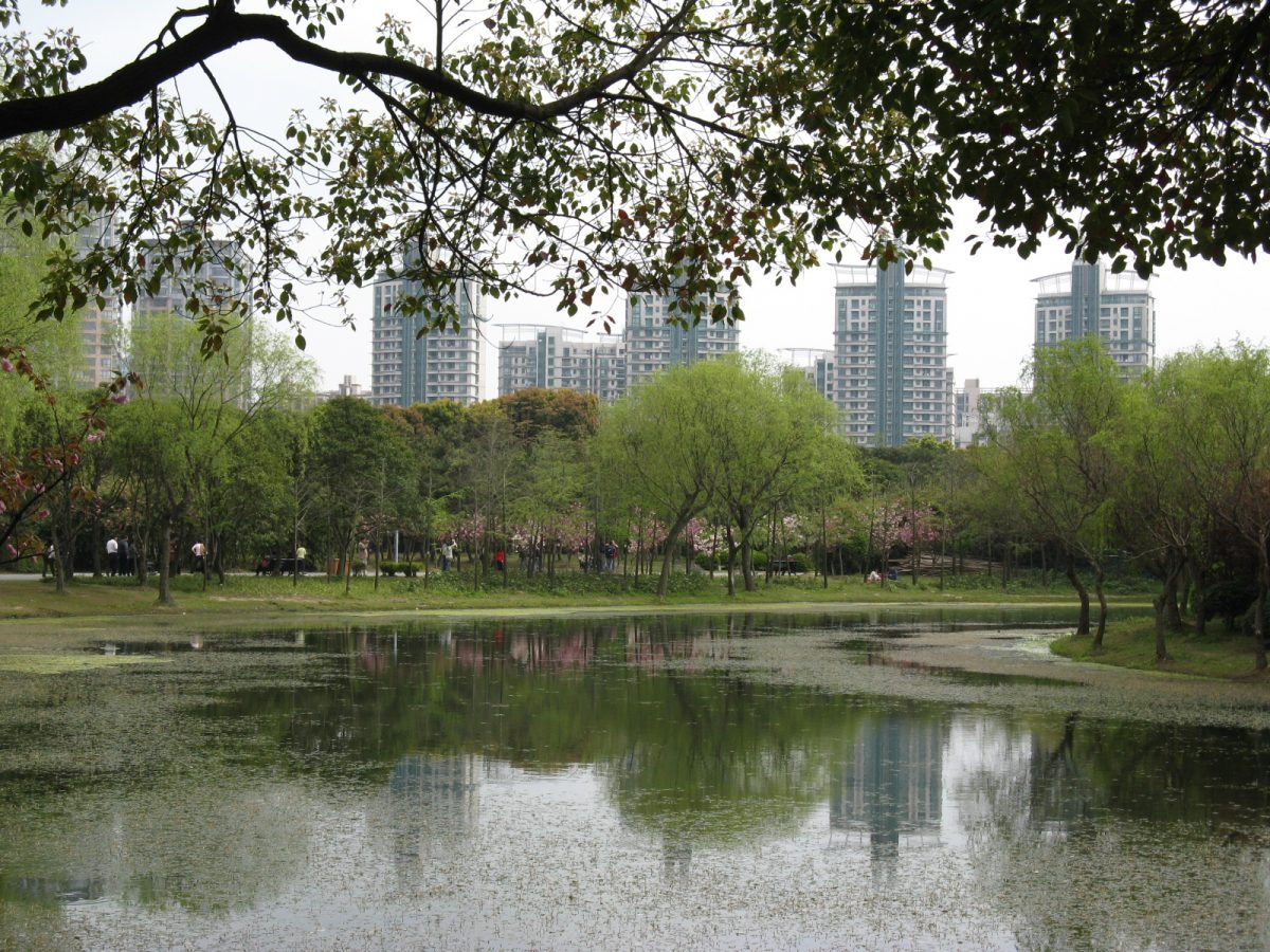 Relaxing sight at Century Park with lush greenery and water body in view Relaxing sight at Century Park with lush greenery and water body in view