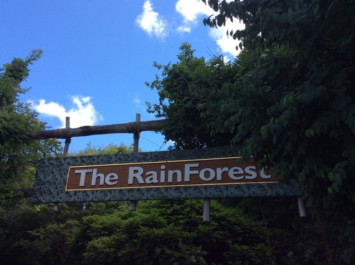 Signboard of The RainForest, Cleveland Metroparks Zoo’s most popular attraction