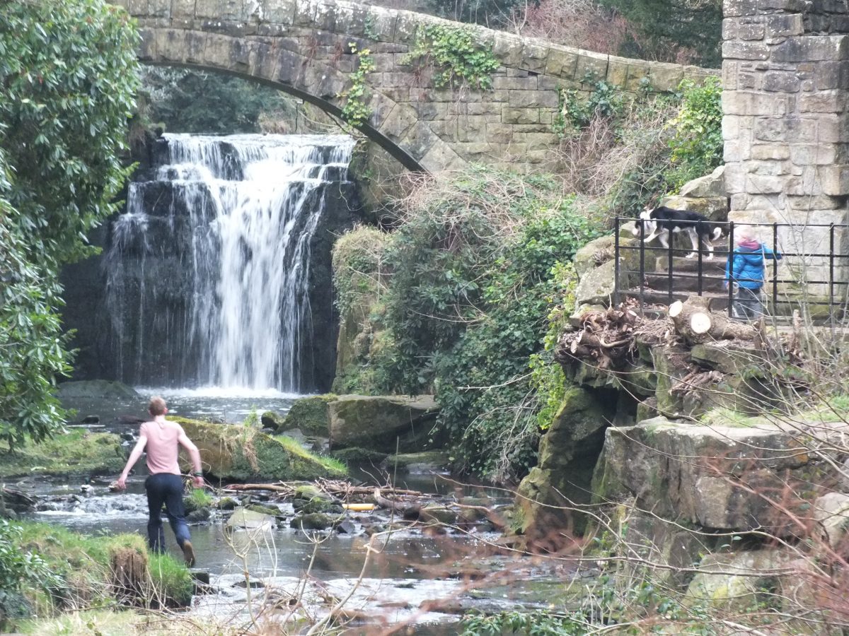 Natural scenery at Jesmond Dene Park as a hiker walks into view Natural scenery at Jesmond Dene Park as a hiker walks into view