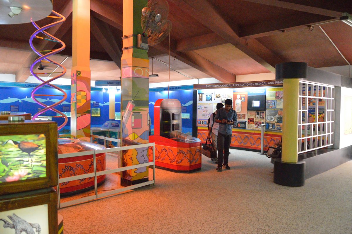 A science exhibit in a life science centre A science exhibit in a life science centre