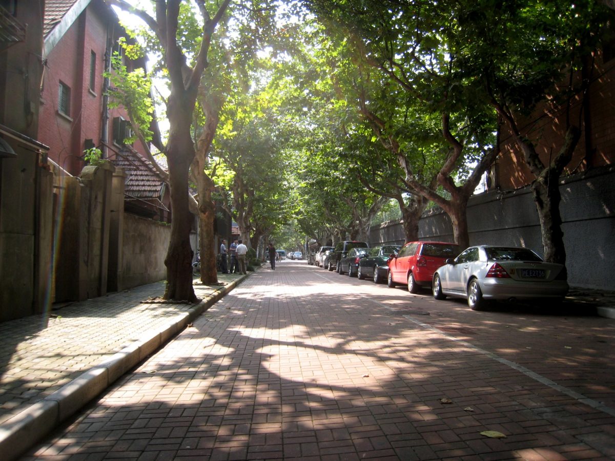 Street view of the Shanghai French Concession with tall trees shielding pedestrians from the morning sun Street view of the Shanghai French Concession with tall trees shielding pedestrians from the morning sun
