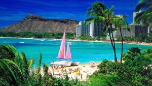 feature 1 300x169 - Top Things to Do in Honolulu, Oahu, Hawaii, USA