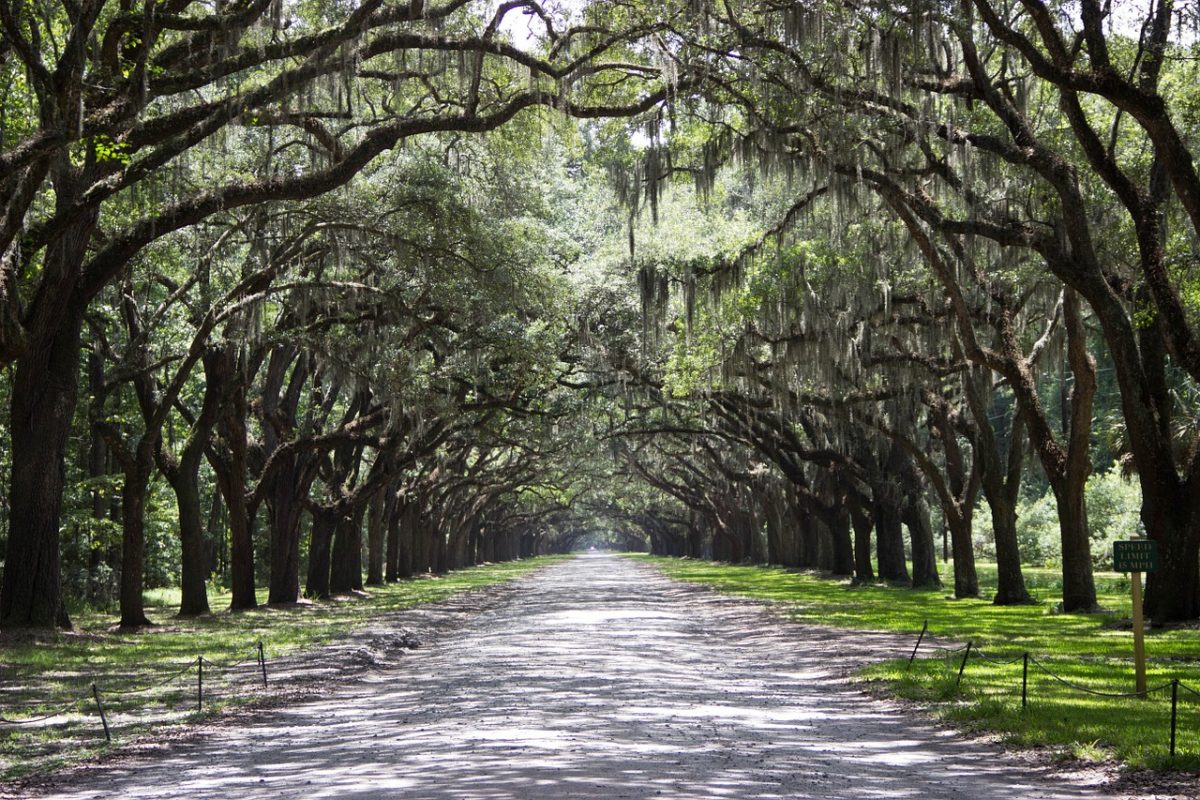 The Best Things To Do In Savannah, TouristSecrets