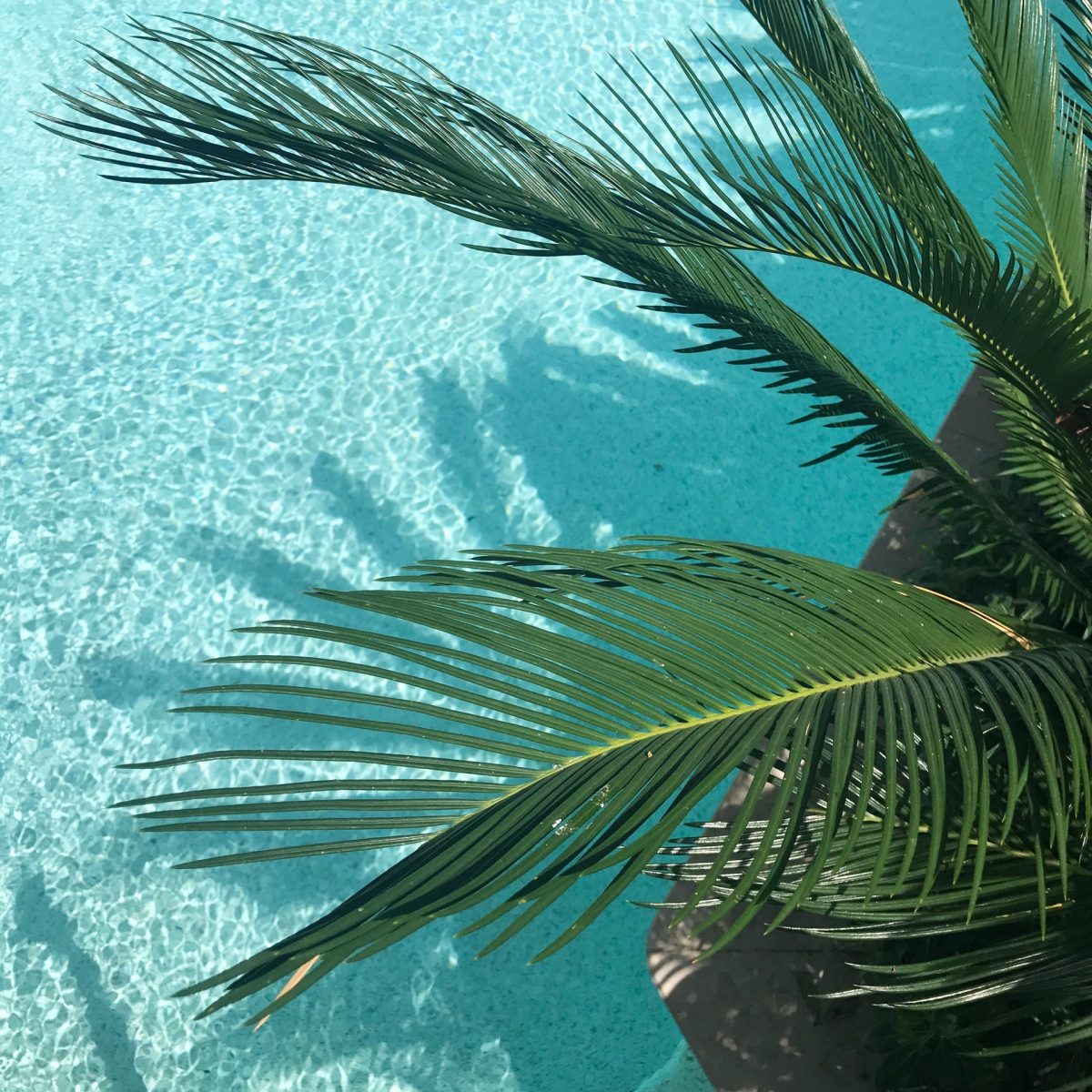 1 Feature Photo by Arin Turkay from Pexels The newly redesigned Sirata Beach Resort is nestled on a stretch of white sandy beaches and offers a wide range of facilities to suit everyone’s tastes