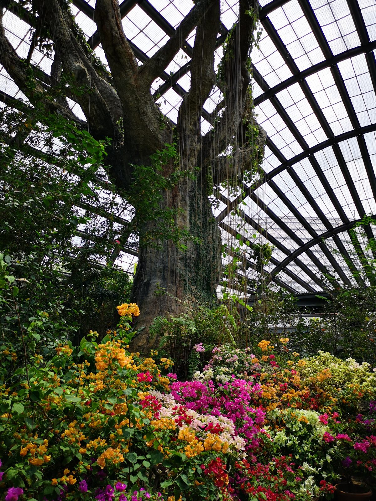 Penang’s Entopia Butterfly Farm is a major attraction among locals and tourists with its bright colourful flowers