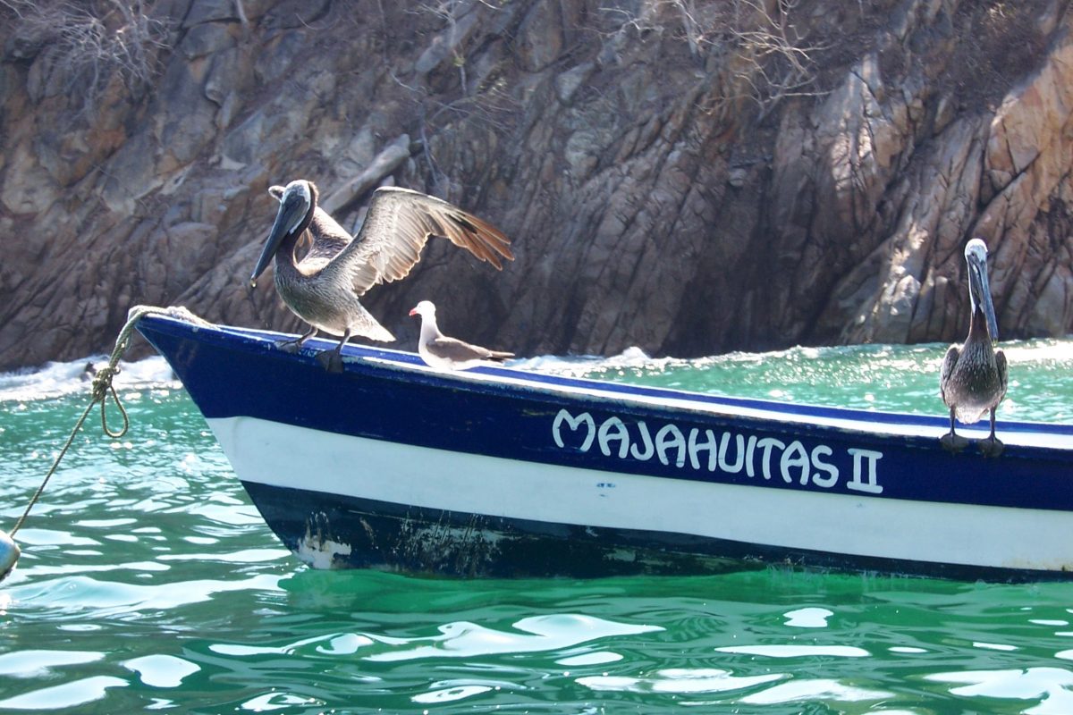 White sand beaches and crystal clear water are what draws visitors to the Majahuitas and Yelapa beaches