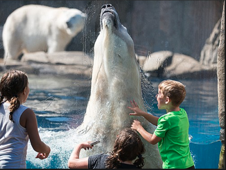 Everything You Need To Know About Pittsburgh Zoo TouristSecrets