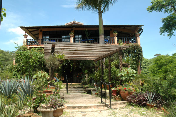 Vallarta Botanical Gardens is 64 acres of lush forest and mountain streams, filled with exotic plants, birds and insects