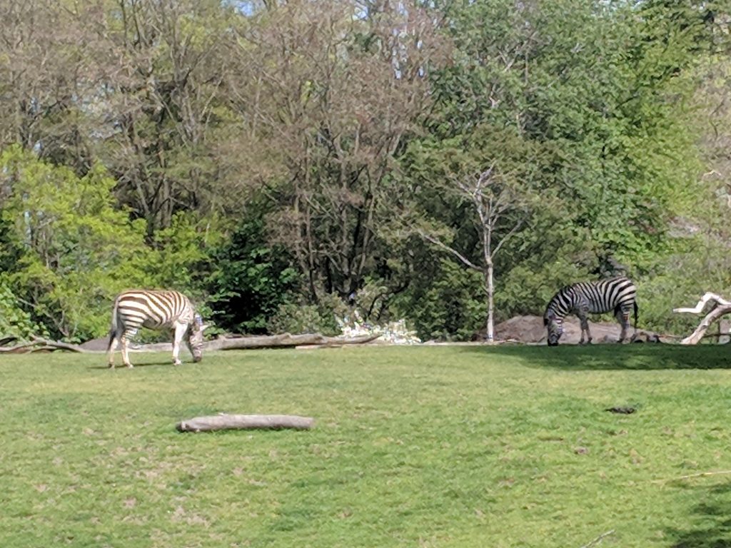 15 Best Things To Do In Branson, Missouri TouristSecrets