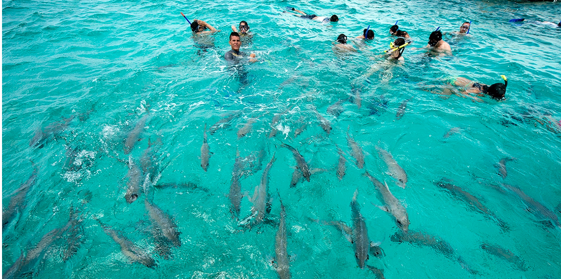 Caye Caulker is a gorgeous beach resort that offers tourists the opportunity to swim in clear aquamarine waters or chill on pure white sand beaches