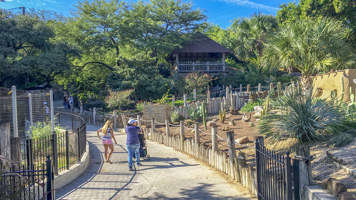 Feature_San Antonio Zoo San Antonio Zoo holds one of the world’s largest birds collection, it is home to 750 species and more than 3,500 animals from the four corners of the world