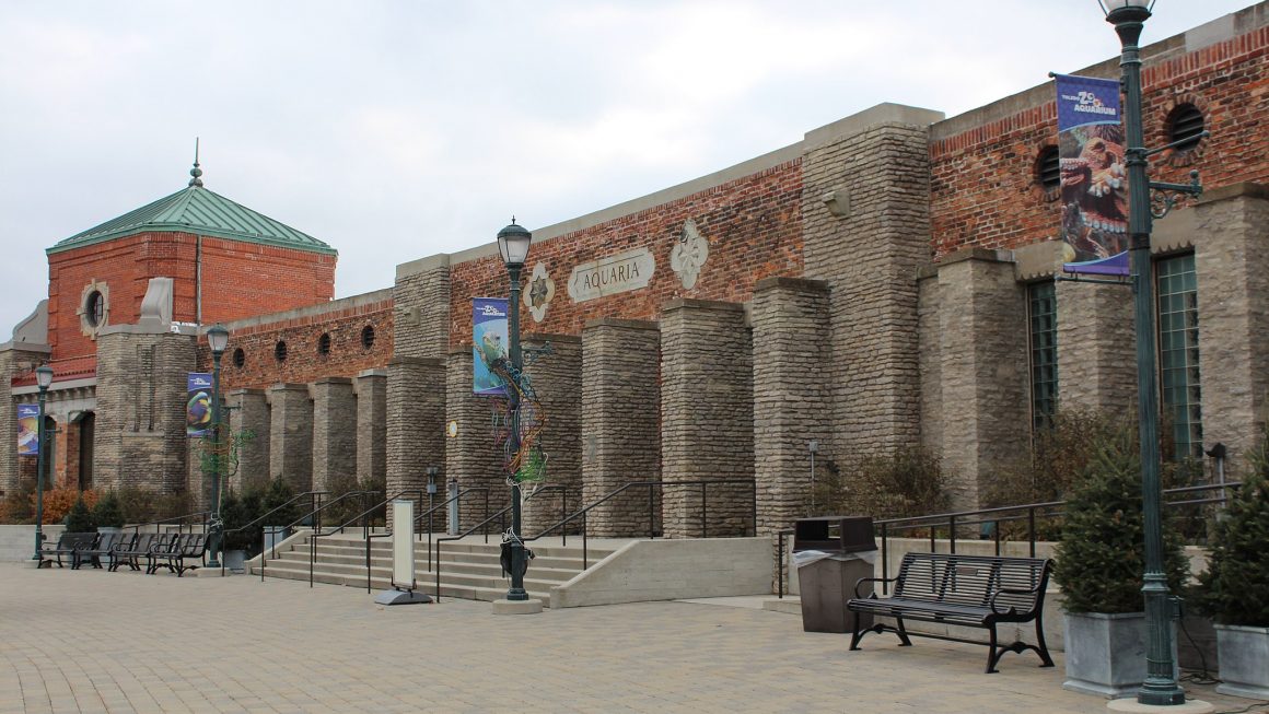 Everything You Need to Know About Toledo Zoo TouristSecrets