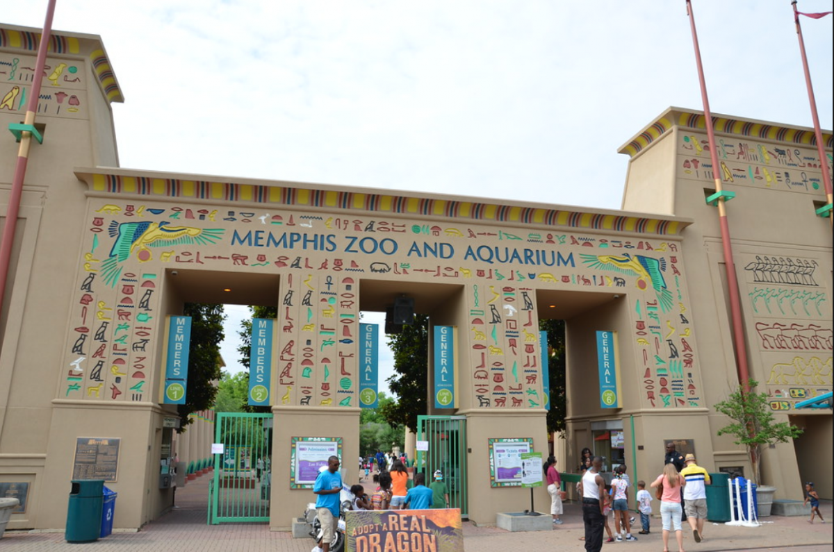 best time to visit memphis zoo