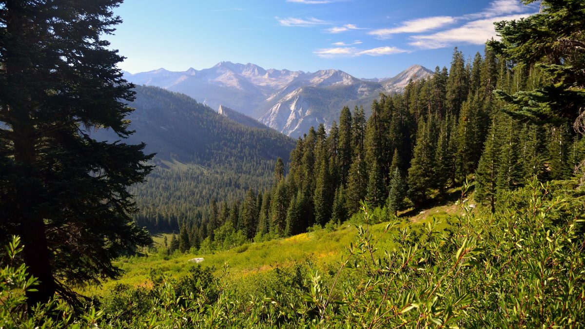 Oak Canyon Nature Center provides an excellent spot for child-friendly hiking. The 58-acre natural park is nestled in the gorgeous Anaheim Hills