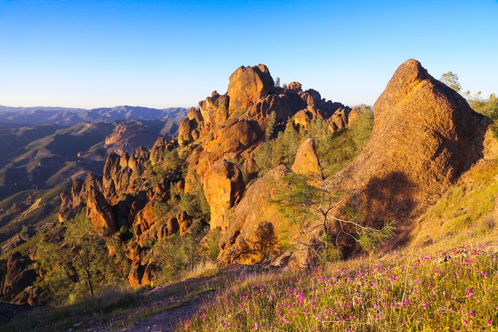 Ultimate Guide To Pinnacles National Park, California  TouristSecrets