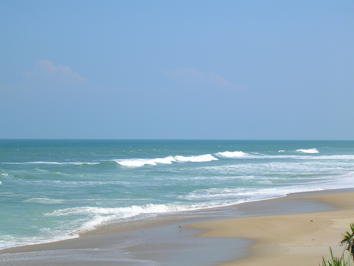 Strip Down At Playalinda Beach, Florida Playalinda Beach - Strip Down At Playalinda Beach, Florida