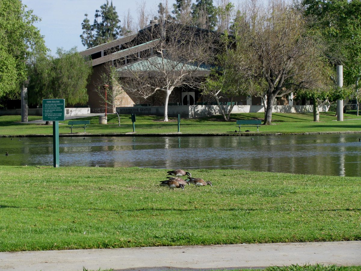 Nestled near the foot of beautiful Coyote Hills, Ralph B. Clark Regional Park offers more than 100 acres of exciting, diverse, and fun activities