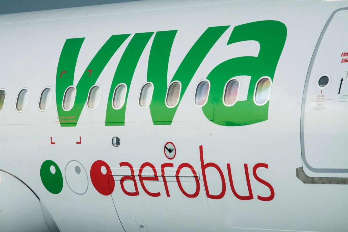 viva aerobus travel with pets