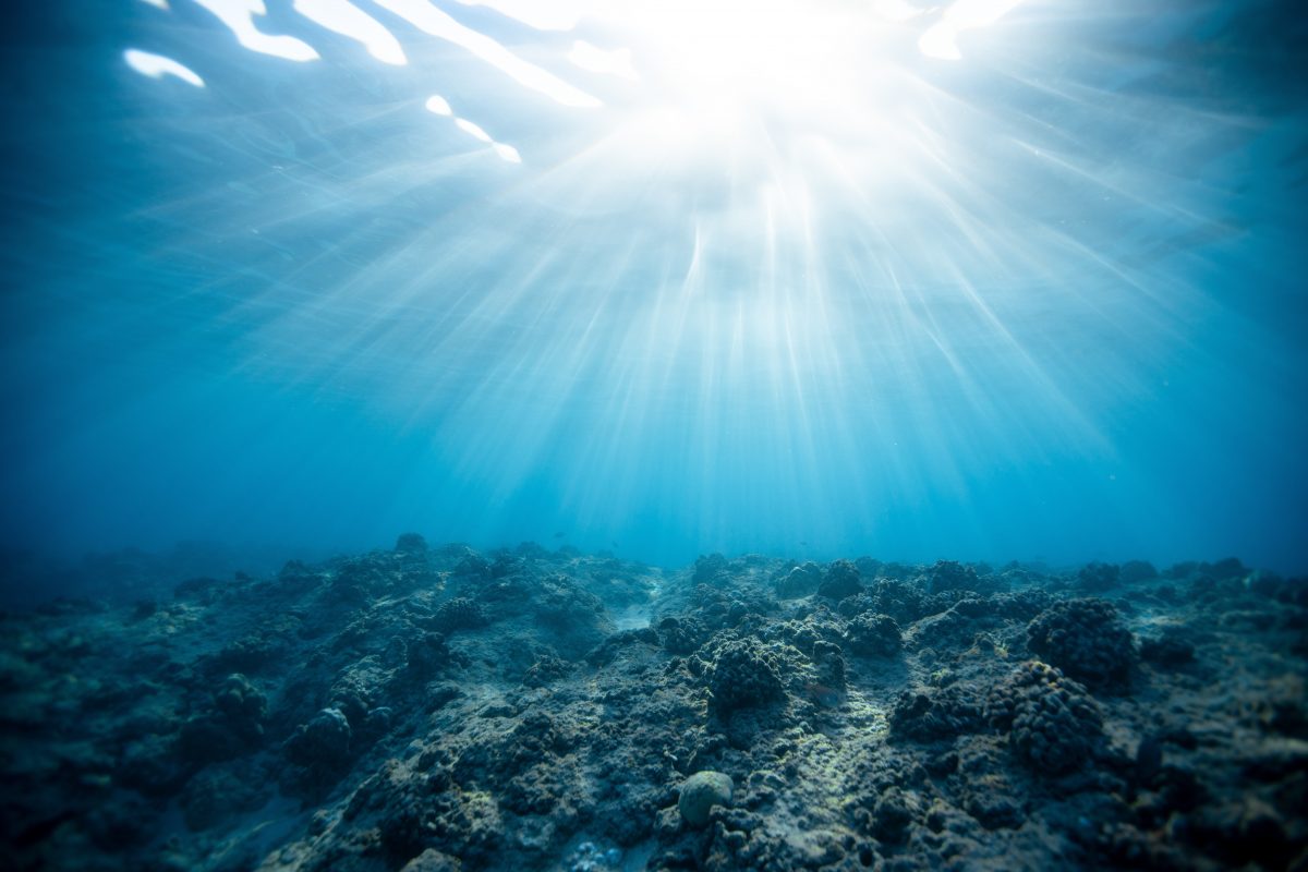 Snorkelling at Crystal Bay