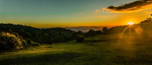 Lamington National Park, Gold Coast, Australia