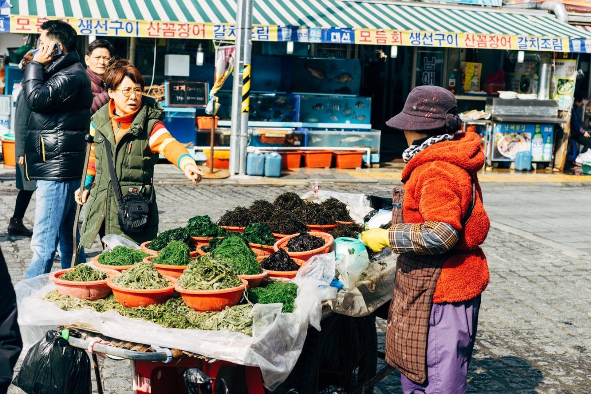 Iconic Jagalchi Fish Market selling the freshest seafood Iconic Jagalchi Fish Market selling the freshest seafood