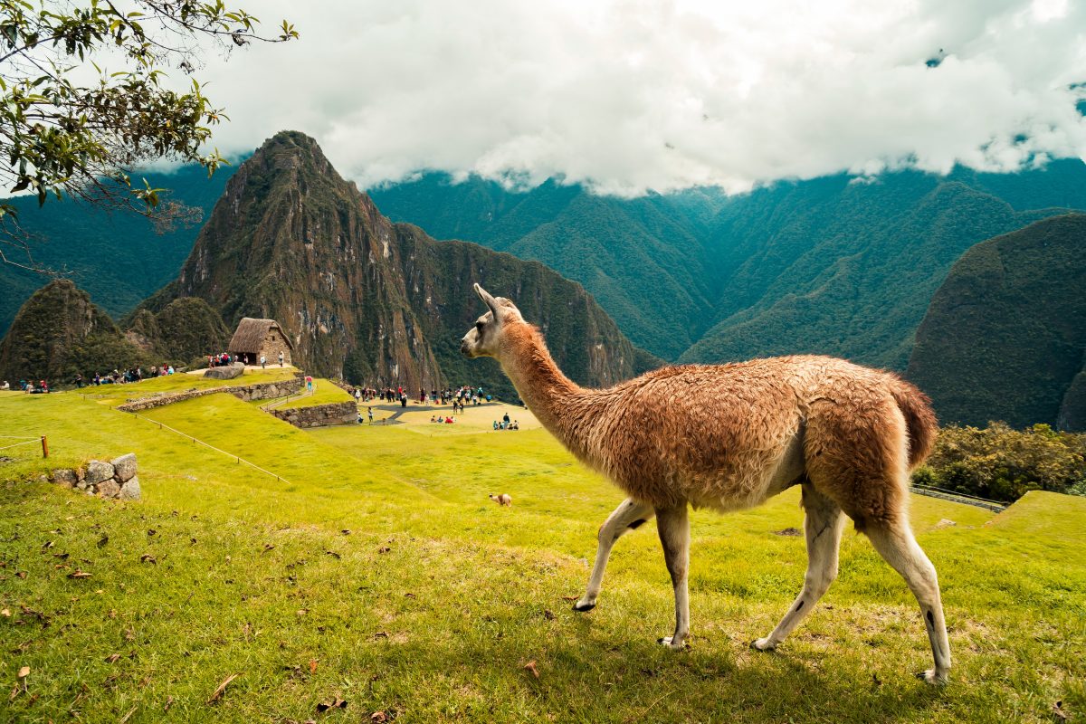 10 Interesting Things To Do In Peru TouristSecrets