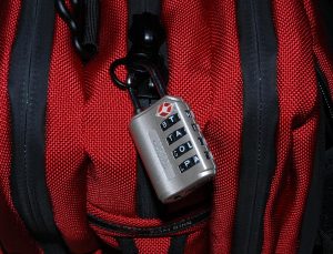 The 5 Best TSA Locks For Your Luggage worlock 300x229 - The 5 Best TSA Locks For Your Luggage