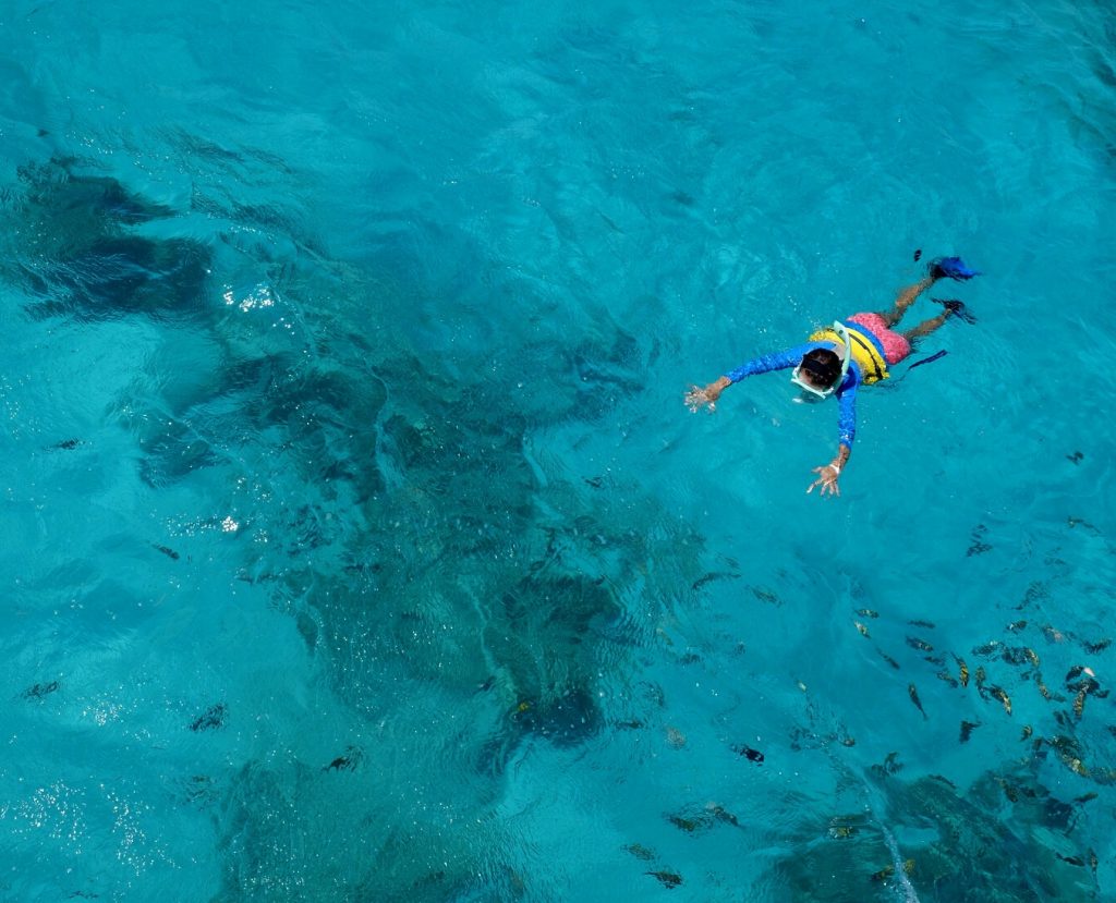 5 MustVisit Snorkeling Spots In Miami TouristSecrets