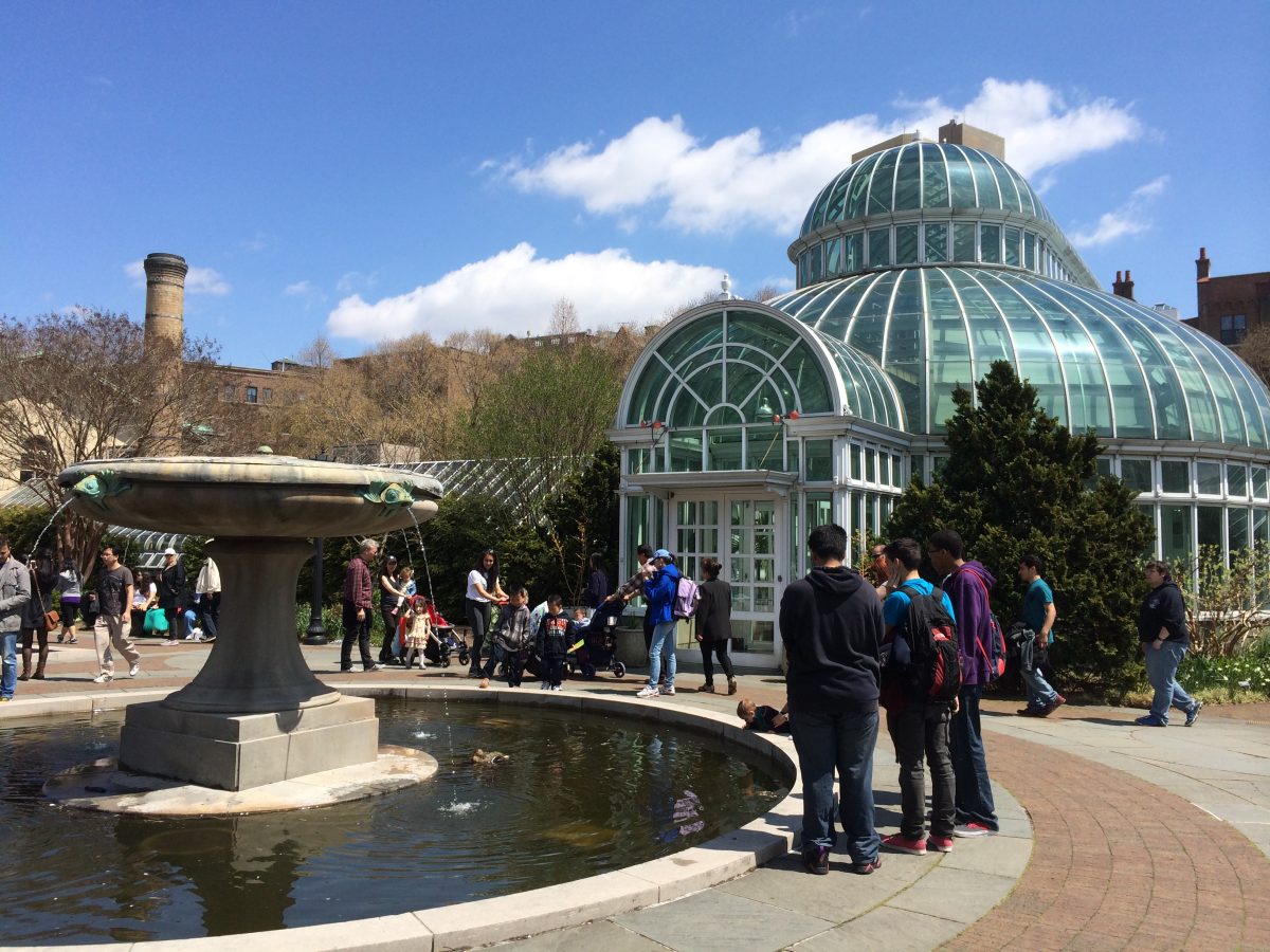 Everything You Need To Know About The Brooklyn Botanic Garden 14044962833 6349778c4a o - Everything You Need To Know About The Brooklyn Botanic Garden