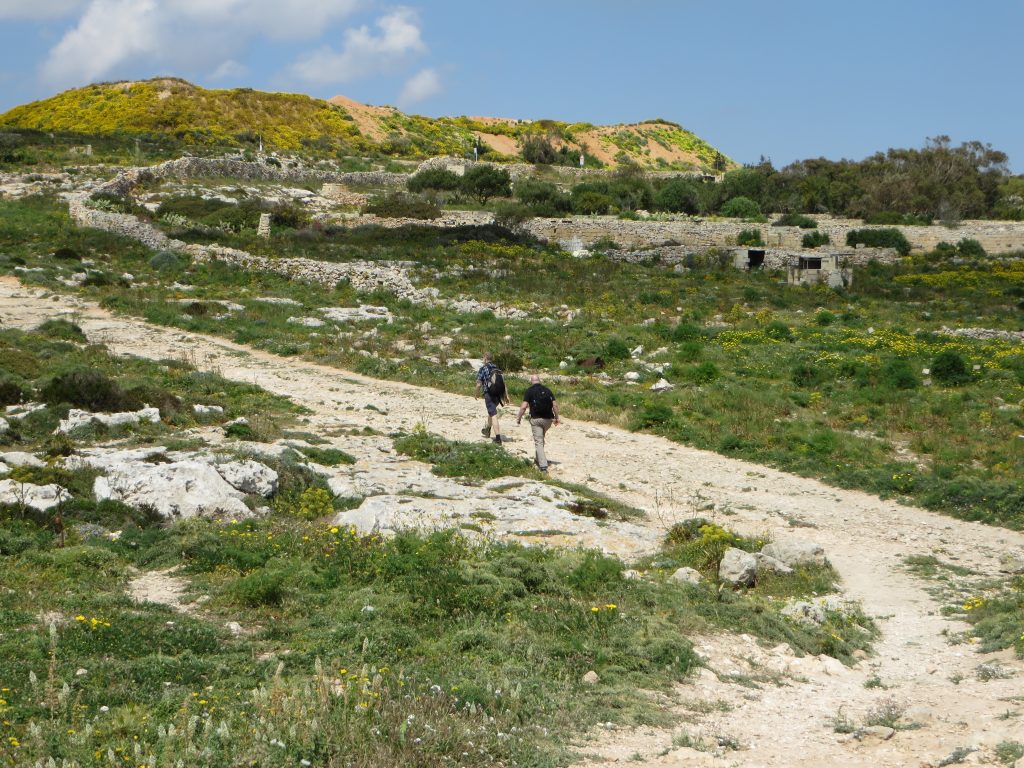 Hike Maltese