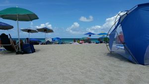 BEST Guide You Need For Haulover Park, Miami's Nude Beach