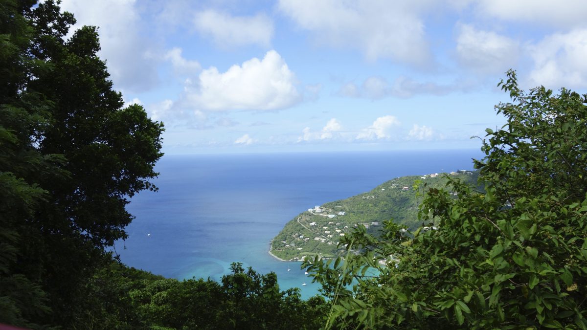 Mount Sage, Tortola Island