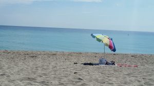 BEST Guide You Need For Haulover Park, Miami's Nude Beach