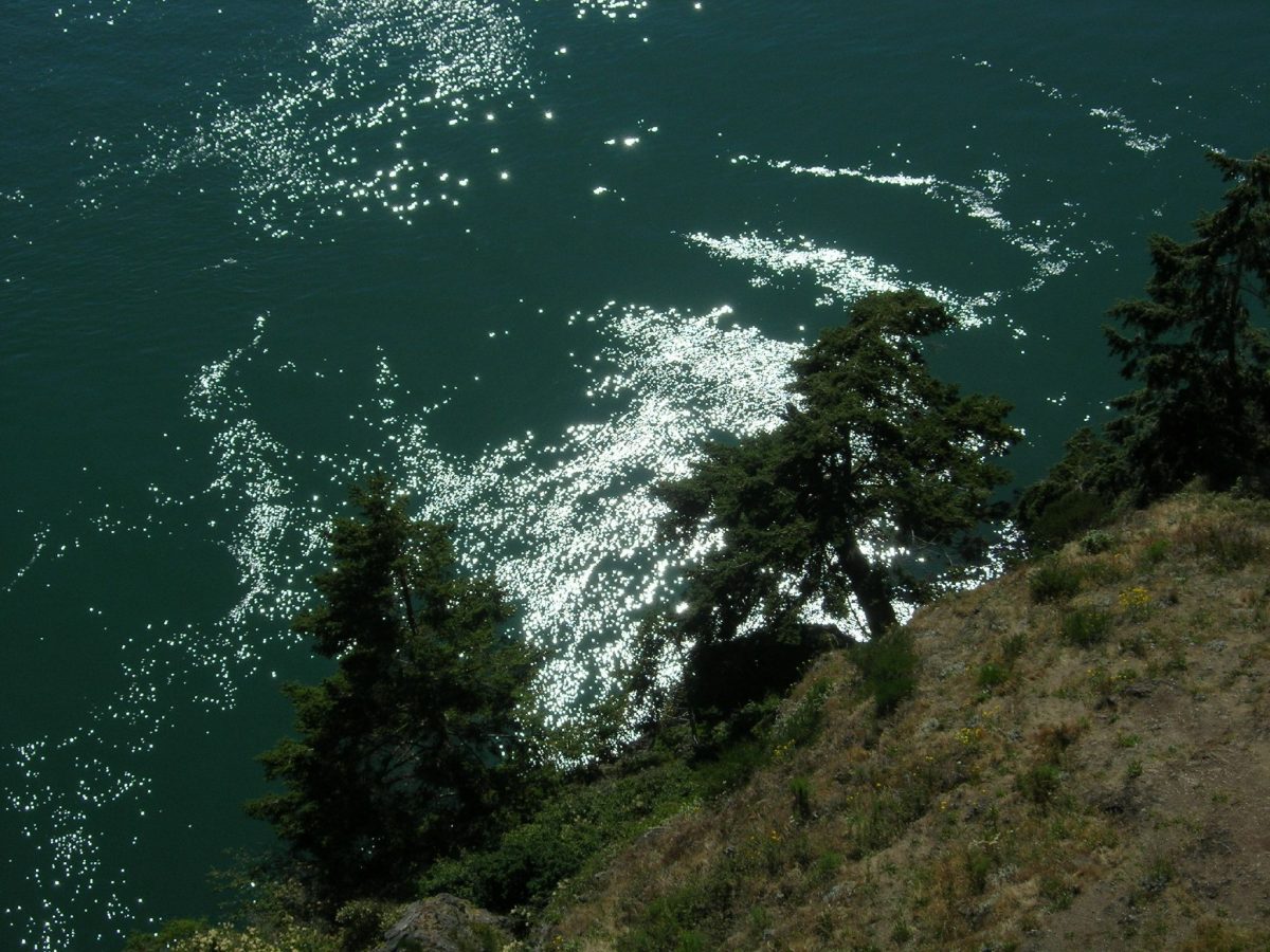 Decption Pass State Park, Washington, Things To Do, With Pets Decption Pass State Park, Washington, Things To Do, With Pets