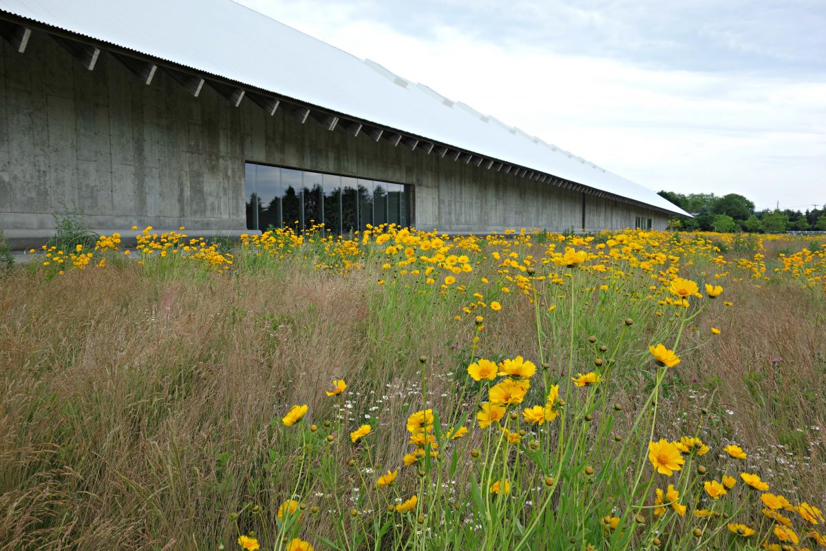 Parrish Art Museum, the East End Parrish Art Museum, the East End