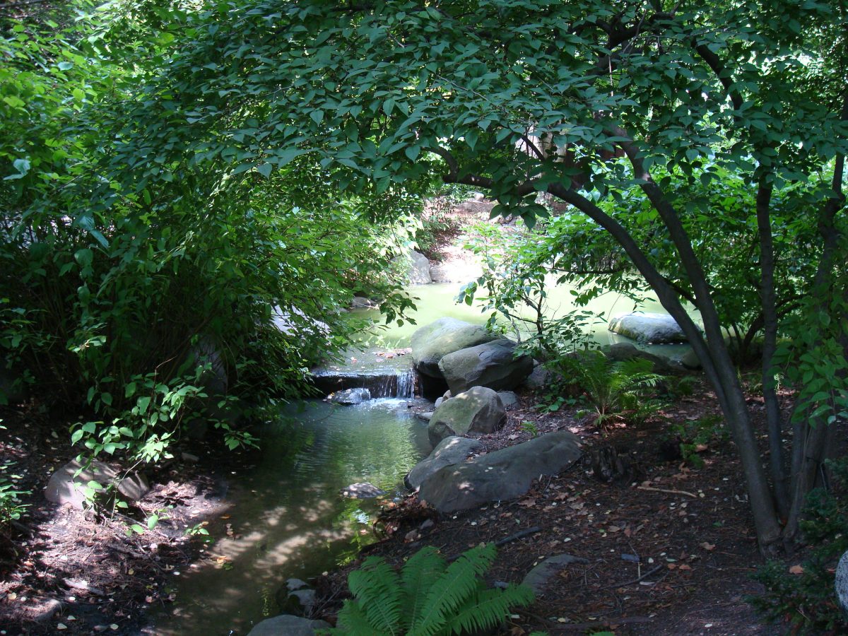 Everything You Need To Know About The Brooklyn Botanic Garden 2890082517 21332e4771 o - Everything You Need To Know About The Brooklyn Botanic Garden