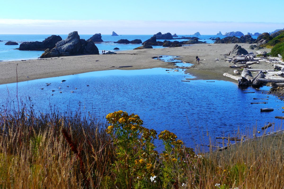Things to Do in Brookings, Oregon Brookings, Oregon