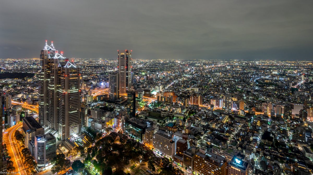 View from Tokyo Metropolitan Government Center in Shinjuku