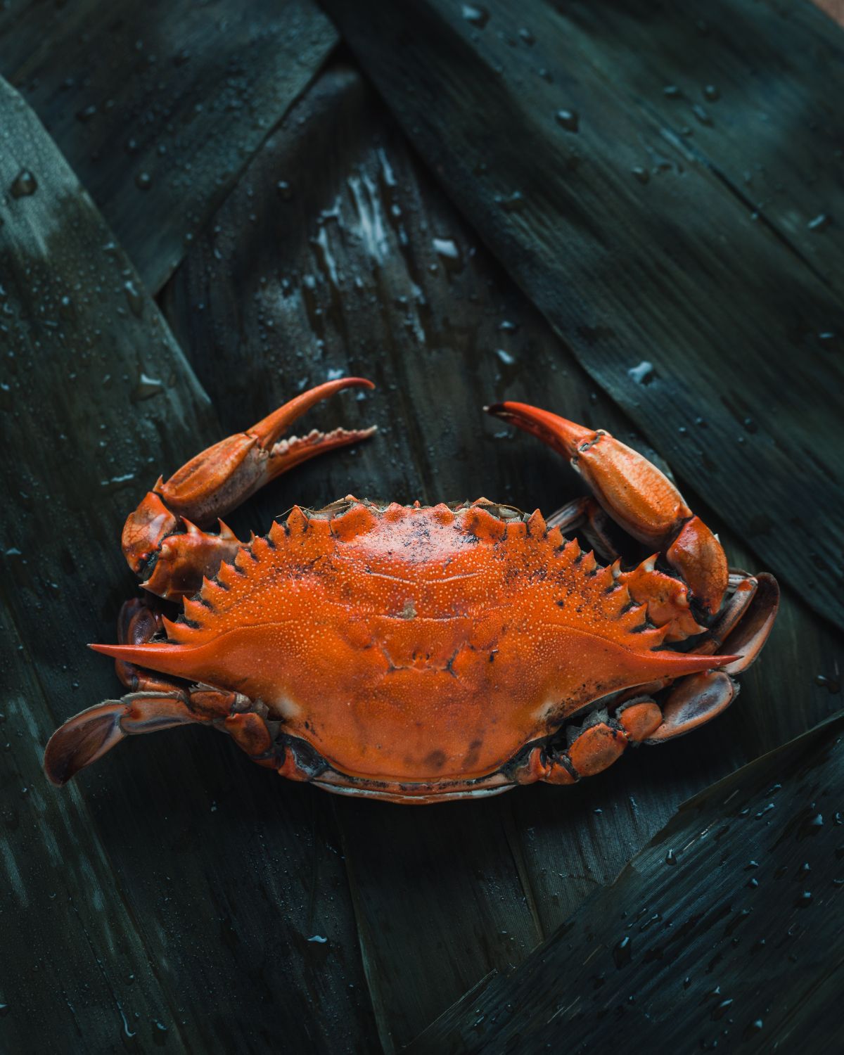 Lobster Restaurant Mexico