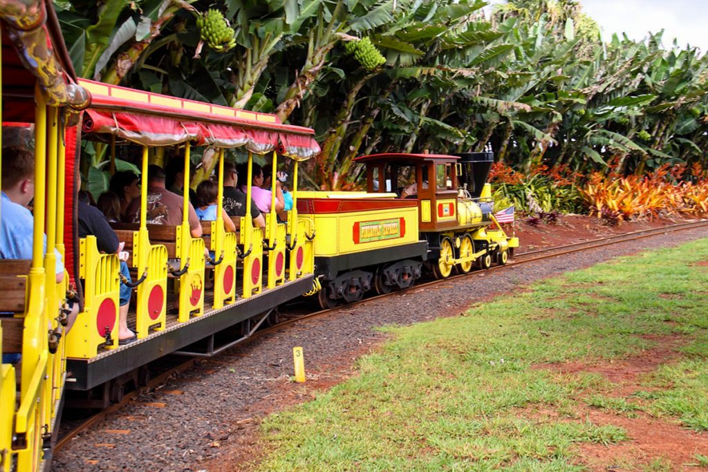Your Guide To Visiting The Dole Plantation In Oahu, Hawaii TouristSecrets