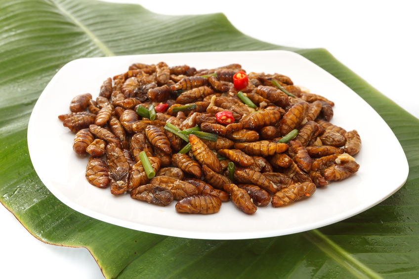 Fried edible beetle larvae on white plate and green leaf