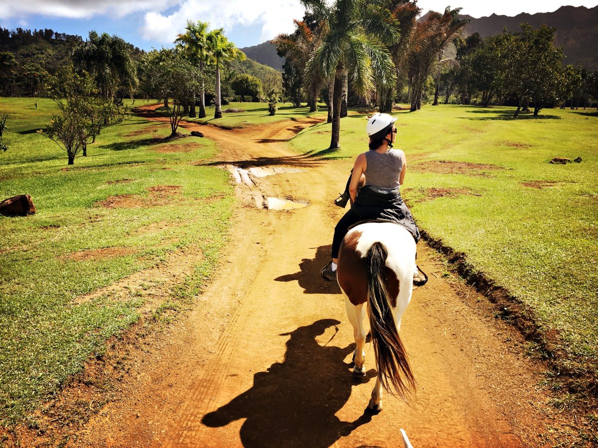 Silver Falls Ranch, Hawaii