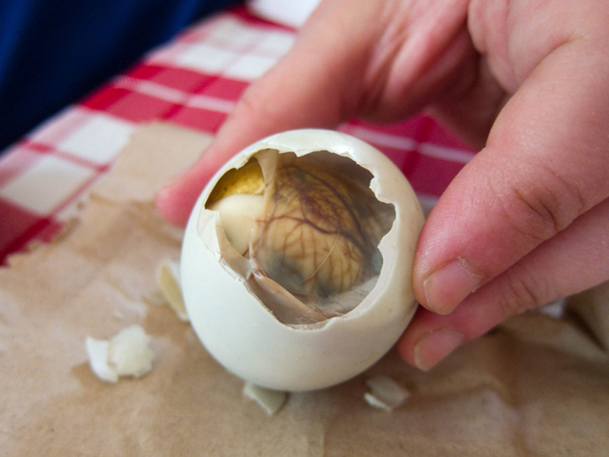 Balut Balut