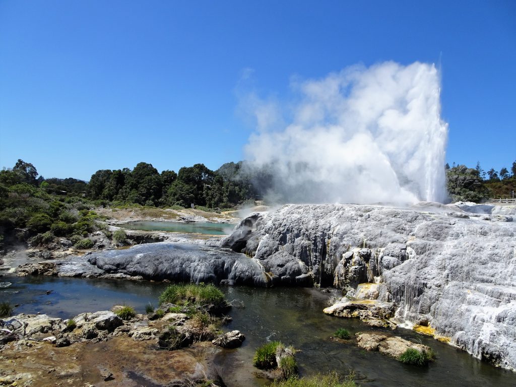 Pohutu Geyser NZ