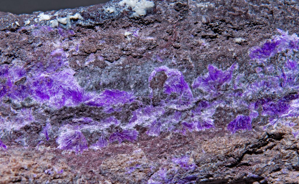 Ultimate Guide To The Lonely Kalahari Desert, South Africa