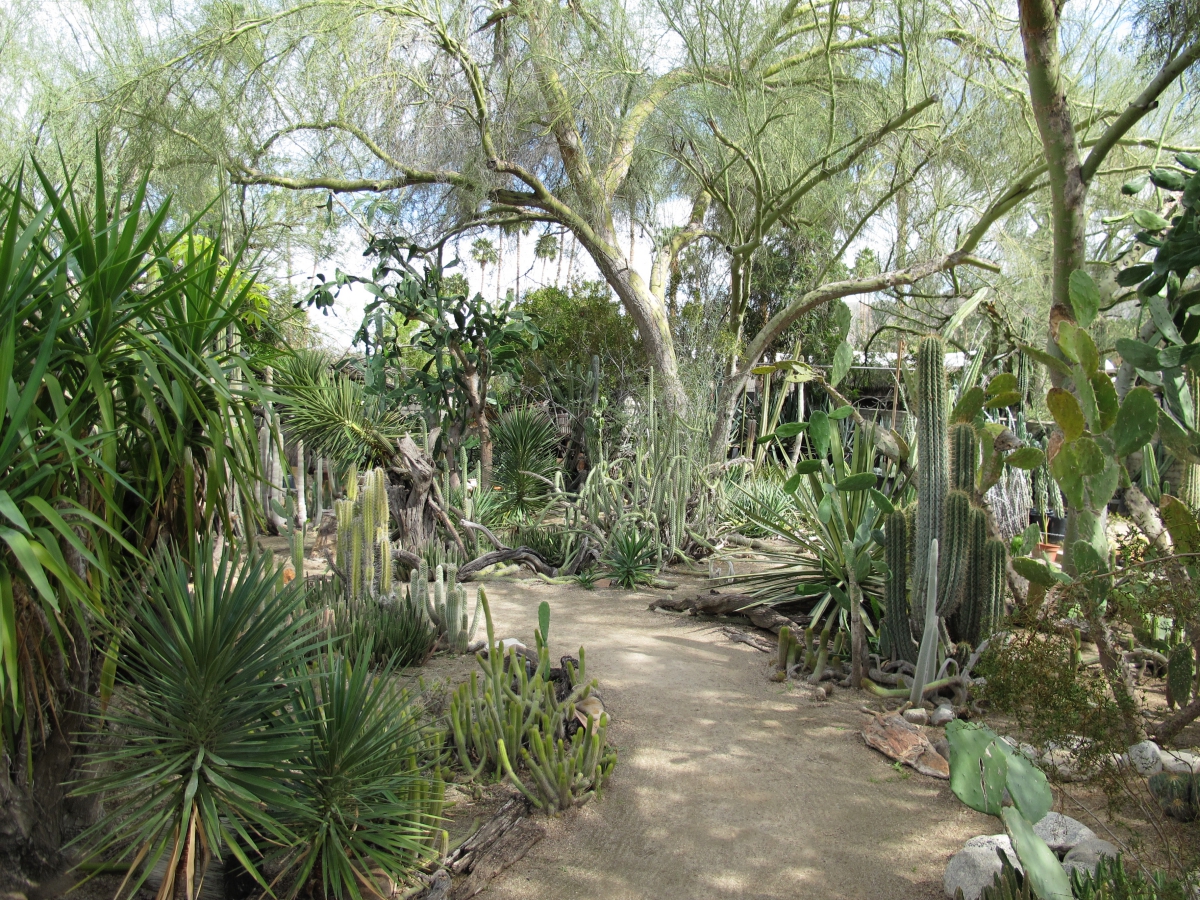 Moorten Botanical Garden, Palm Springs, California