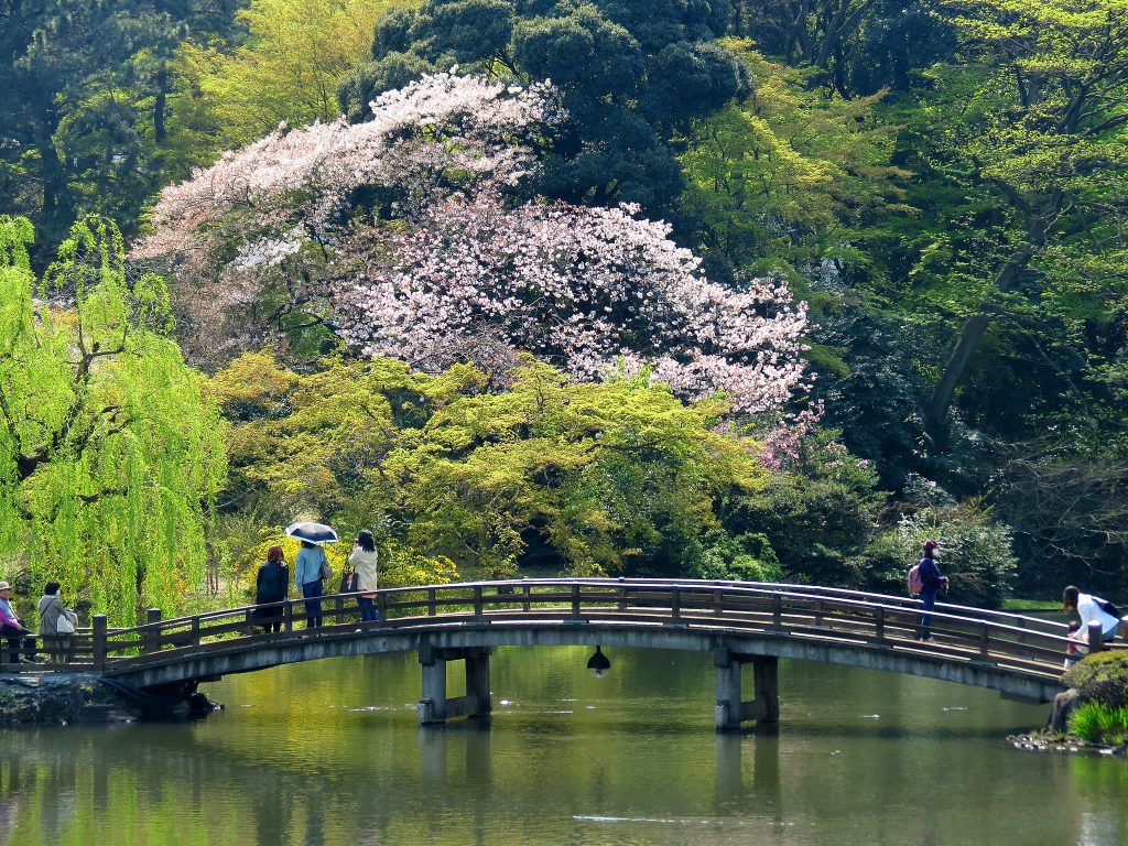 A footbridge at Shinjuku Gyoen National Garden