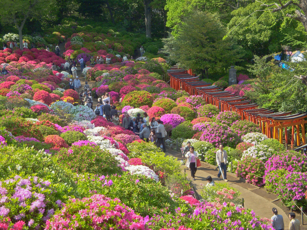 Azalea Park, Brookings, Oregon