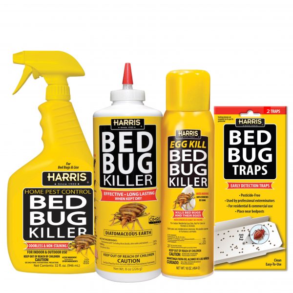 Why Do You Need Bed Bug Spray In Your Travel Kit? TouristSecrets