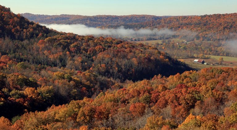 Escape to the Wild: Ohio's Edge of Appalachia Preserve